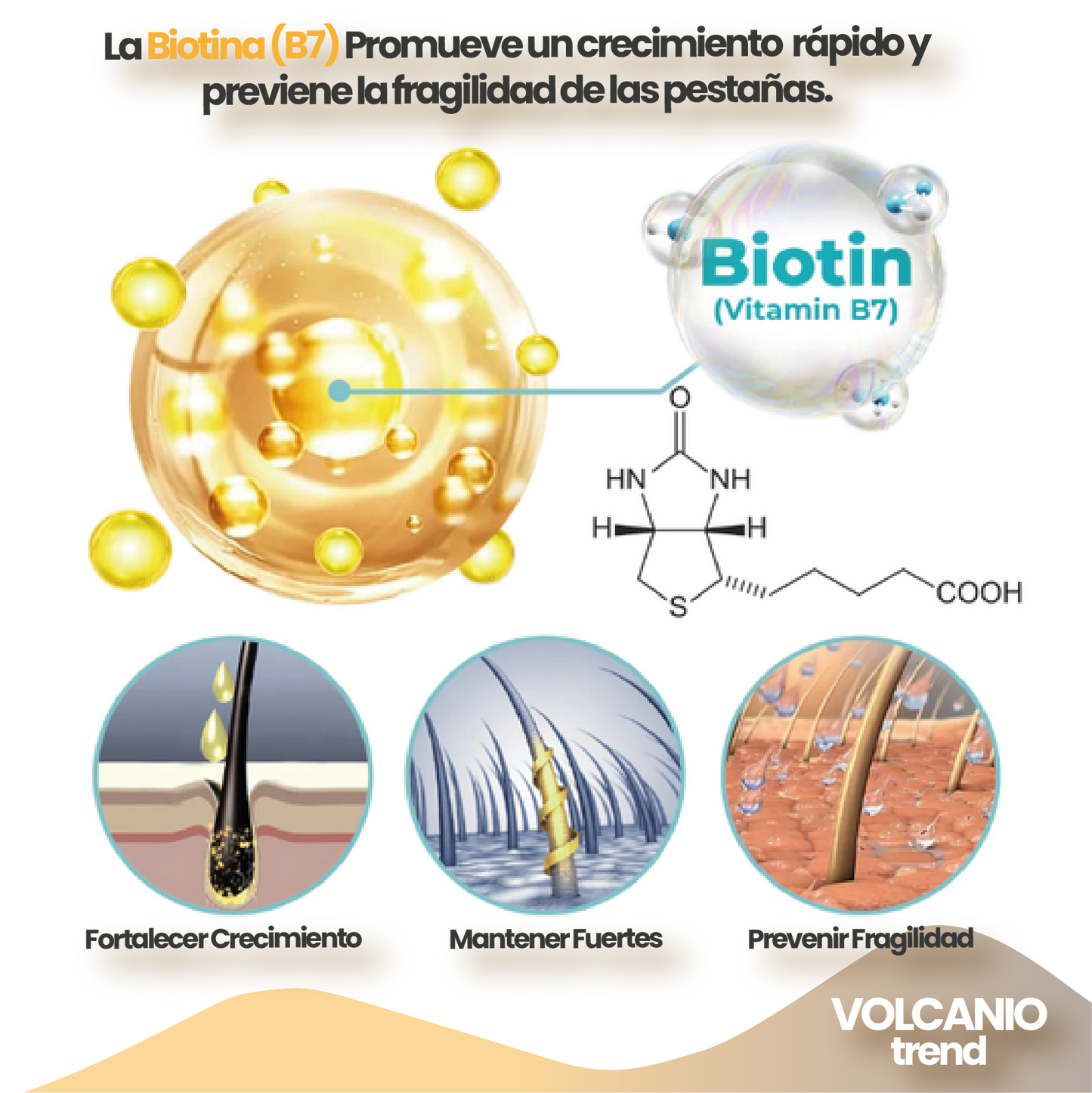 🎁 LashElixir Serum de pestañas 👁️🌟